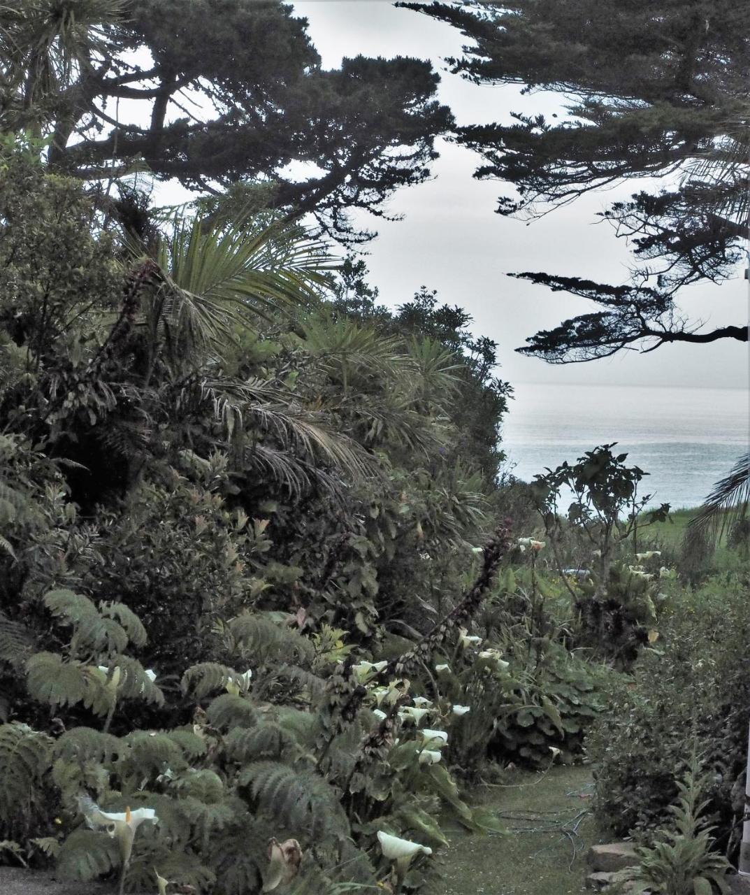 Вилла Omau Retreat Cape Foulwind Экстерьер фото